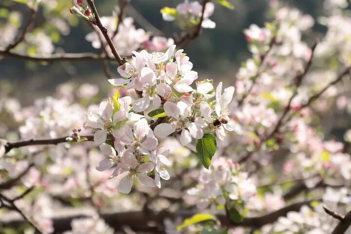 “漠上花开向未来、石头缝里刨穷根”｜新华走笔