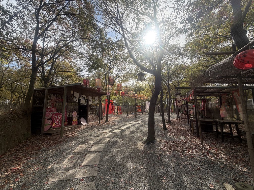 旅遊基地環繞在香樟林里。 澎湃新聞記者 鄒娟 見習記者 洪旭東 圖