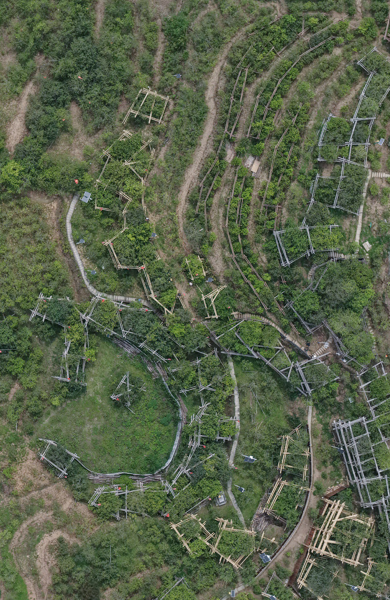 聶濤 攝
