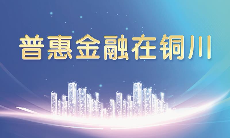政银担协同发力 铜川普惠金融发展示范区建设交出满意答卷