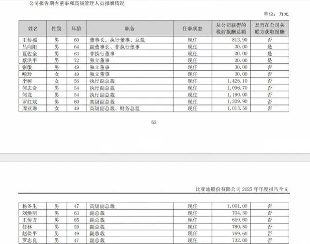 图源：比亚迪2025年年报