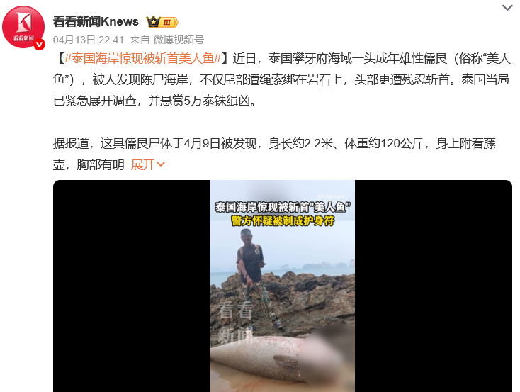 泰国海岸惊现被斩首“美人鱼”！身长约2.2米、体重约120公斤，当局已展开调查