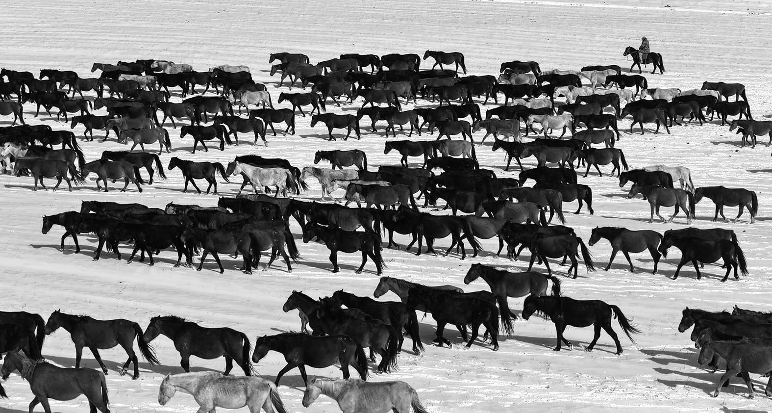 图片新闻（三）-中国质量新闻网