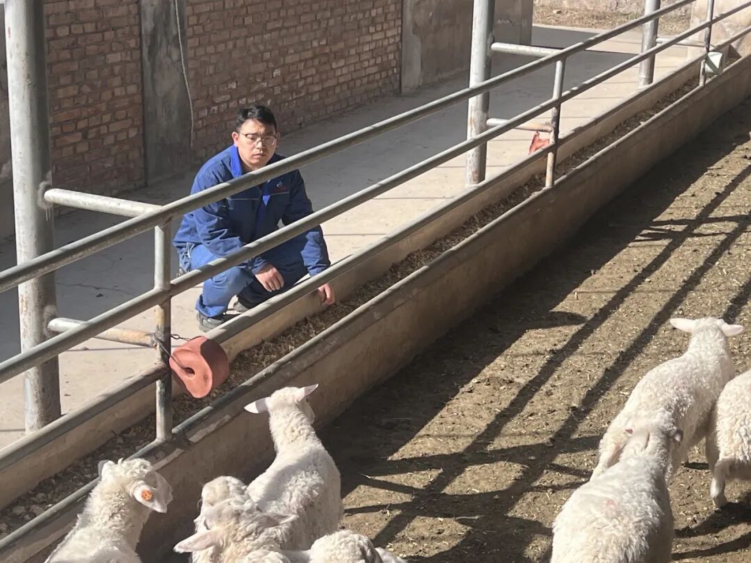 方大特钢乡村振兴工作组人员周升查看羊圈及草料 万云飞 摄