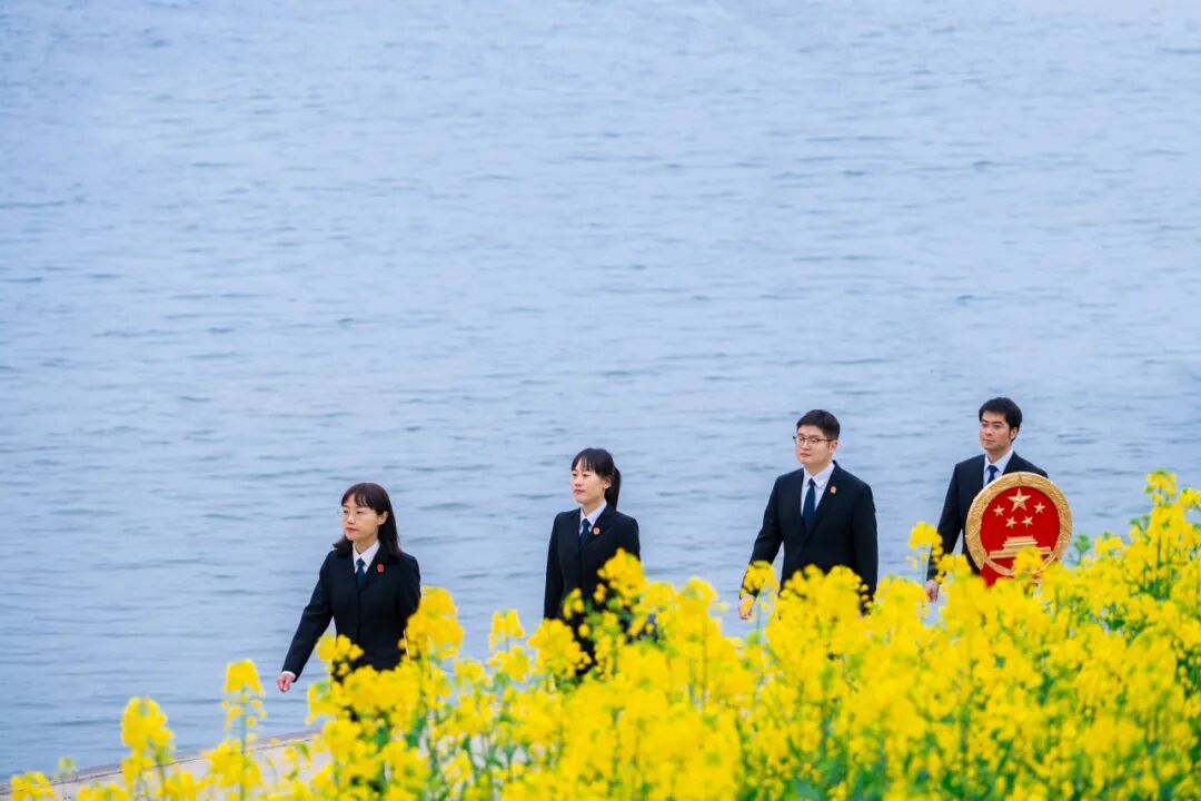 巡回审判花田边 | “天平杯·随手拍”作品展播