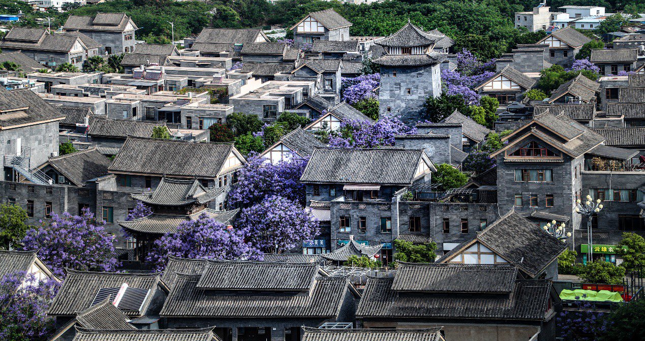 王興華 攝