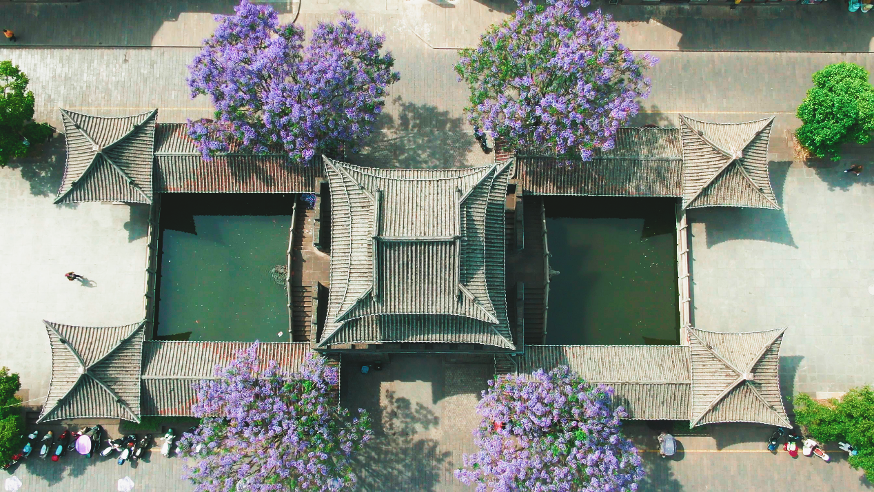 奧雲 攝