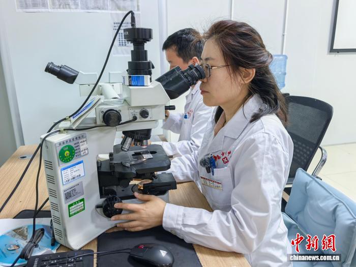 和娟正在看患者的腫瘤切片。胡健 攝