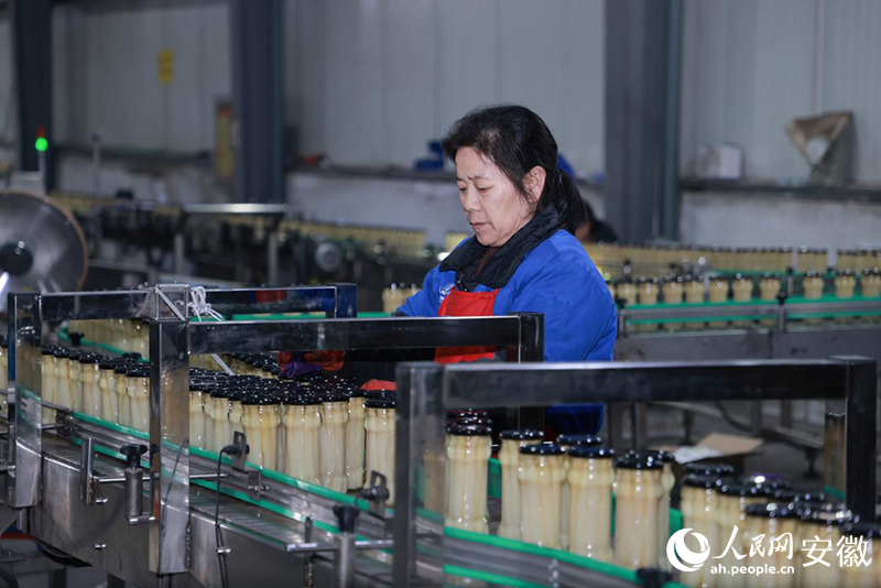 罐頭產品生產線上，工人正在忙碌。人民網記者 王曉飛攝