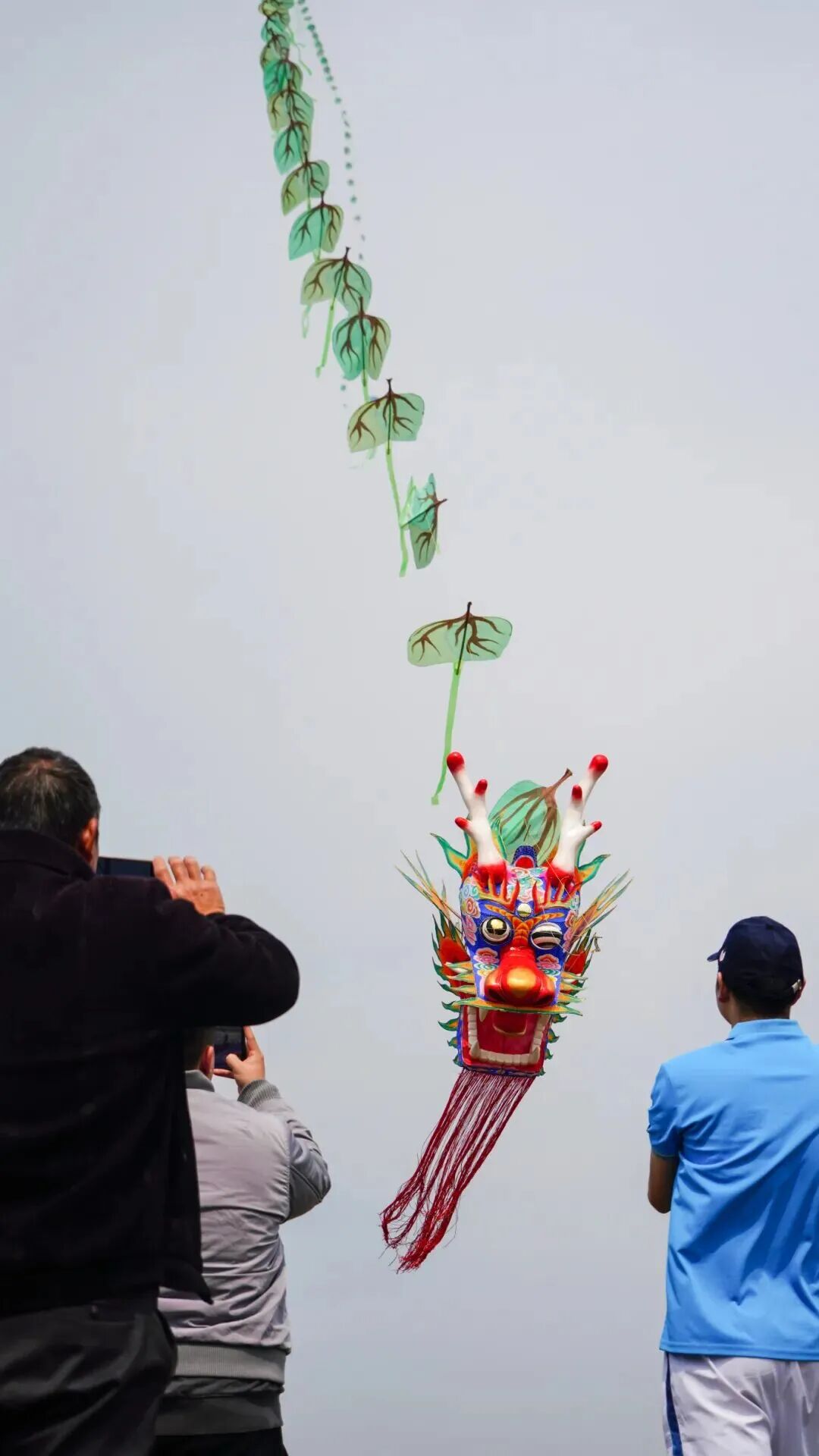 有人驱车20公里，就是为了“上天”！最近，杭州不少地方都能看到它……
