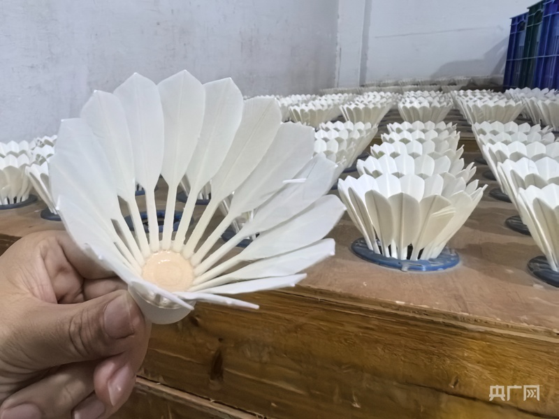 Wuhu: China’s Premier Badminton Hub – One in Four Nationwide Badminton Products Made Here
