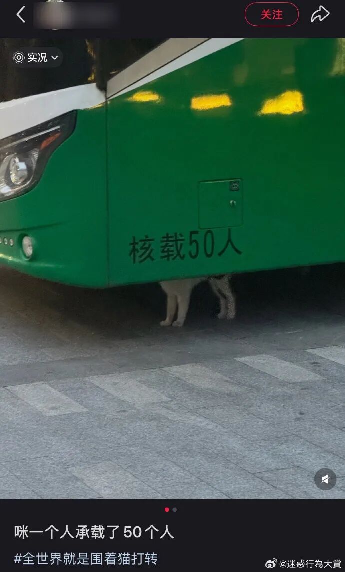 神图：我应该在车底