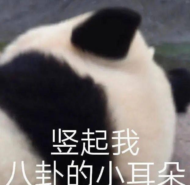 合金弹头：觉醒莉拉攻略