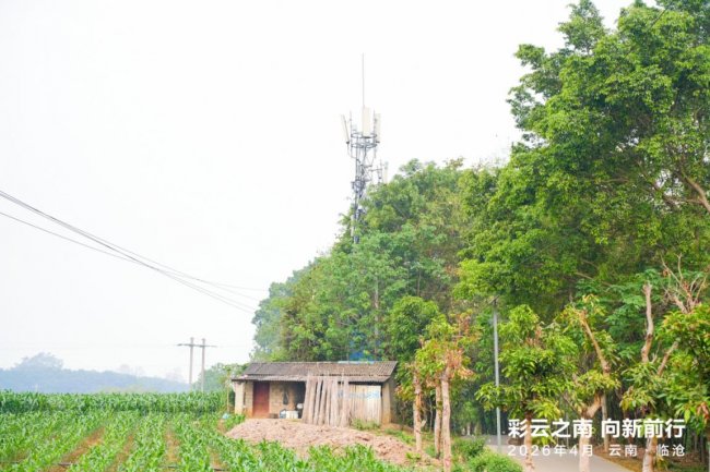 图：芒团村村口的中国移动5G基站