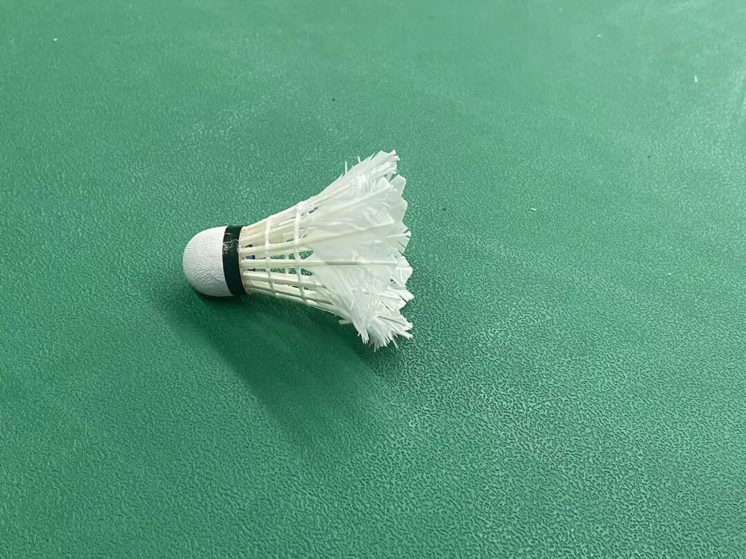 拍摄：张蕊