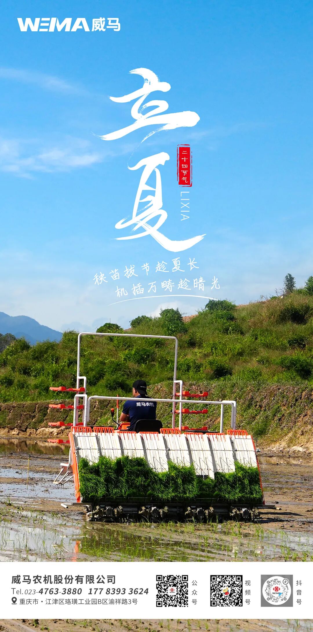 立夏 | 秧苗拔节趁夏长 机插万畴趁晴光