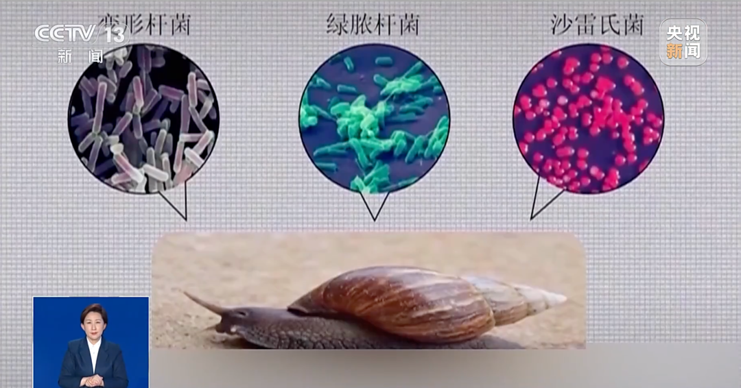注意！千万别碰！携带大量寄生虫