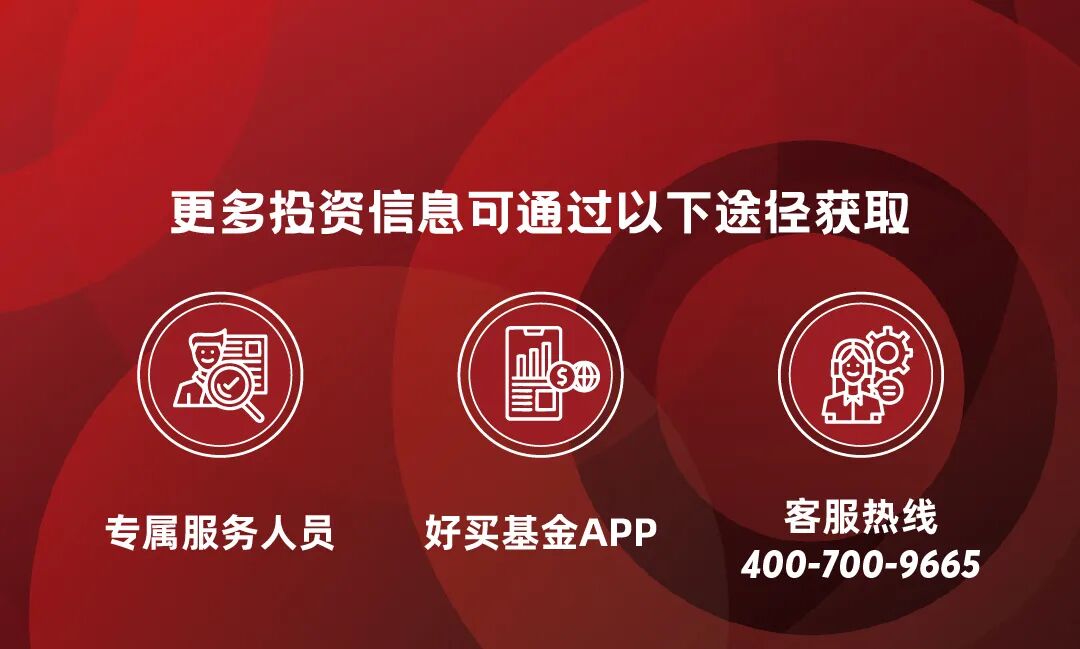 创业板，恒生科技，纳斯达克，投科技，选哪个？