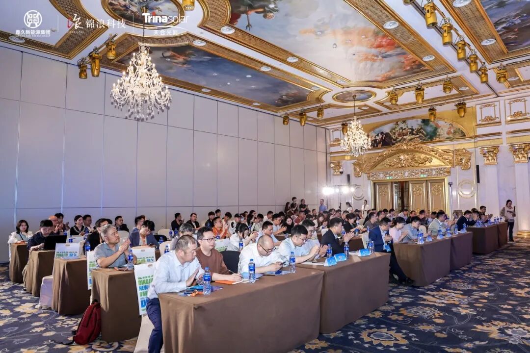 峰谷价差、消纳瓶颈、光储出海……合肥这场交流会，全是干货！