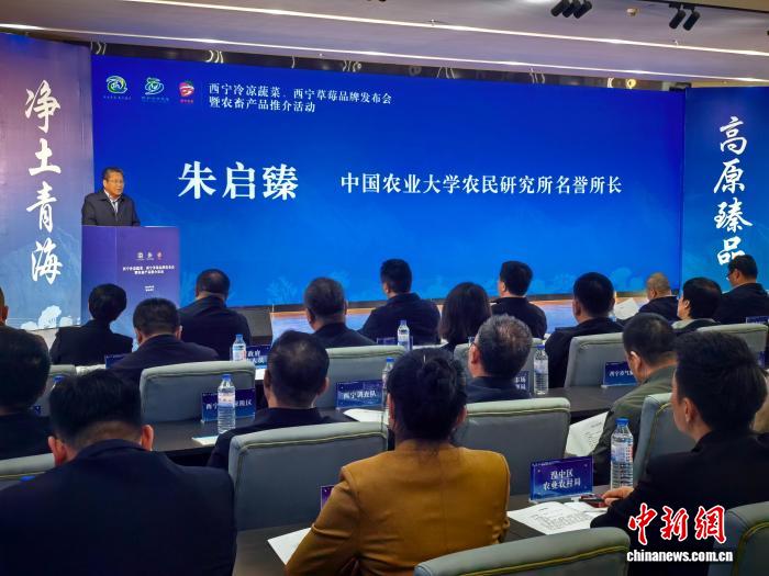 圖為中國農業大學農民研究所名譽所長朱啟臻解讀西寧市冷涼蔬菜的獨特優勢。祁增蓓 攝