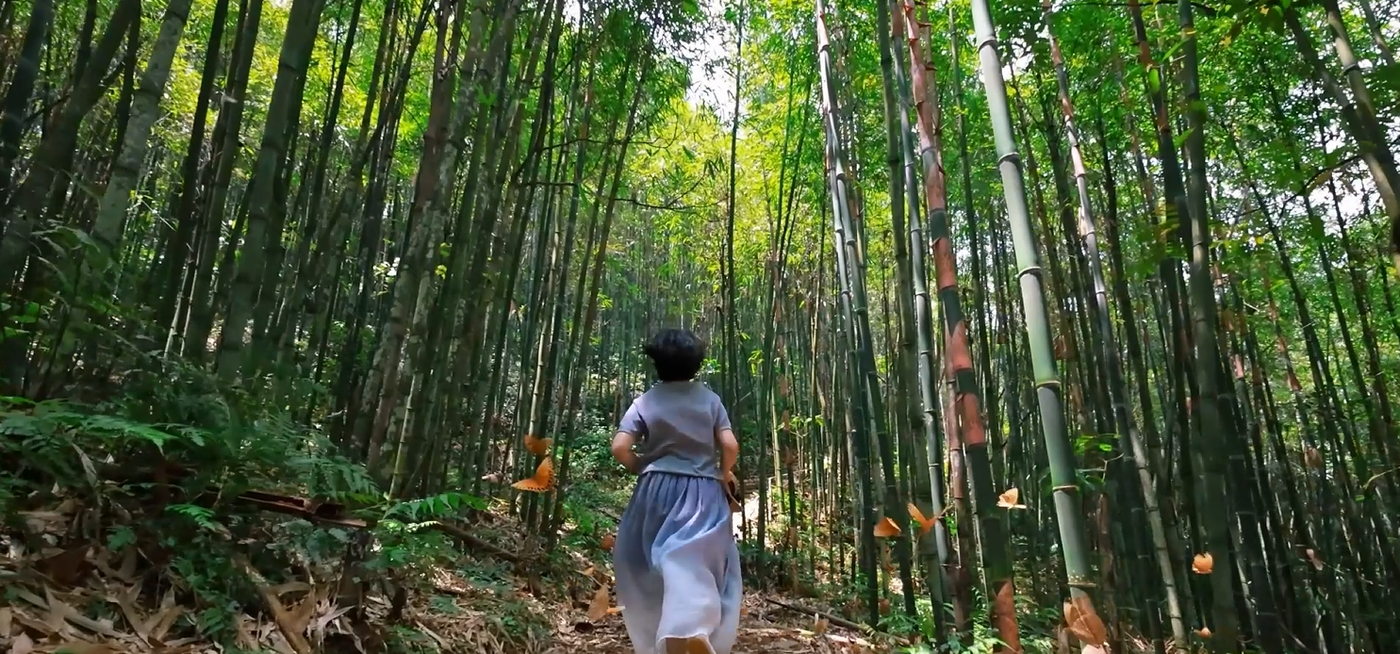 紅河州融媒體中心 盧秀麗 陳俊宇 劉聰 陳倩 攝