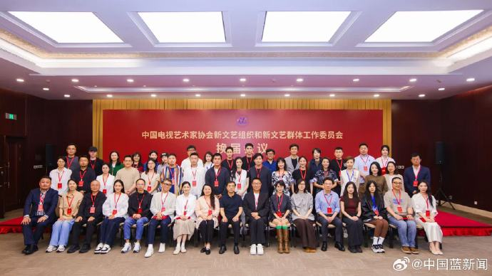杨幂、佟丽娅、宋佳等被聘为副会长
