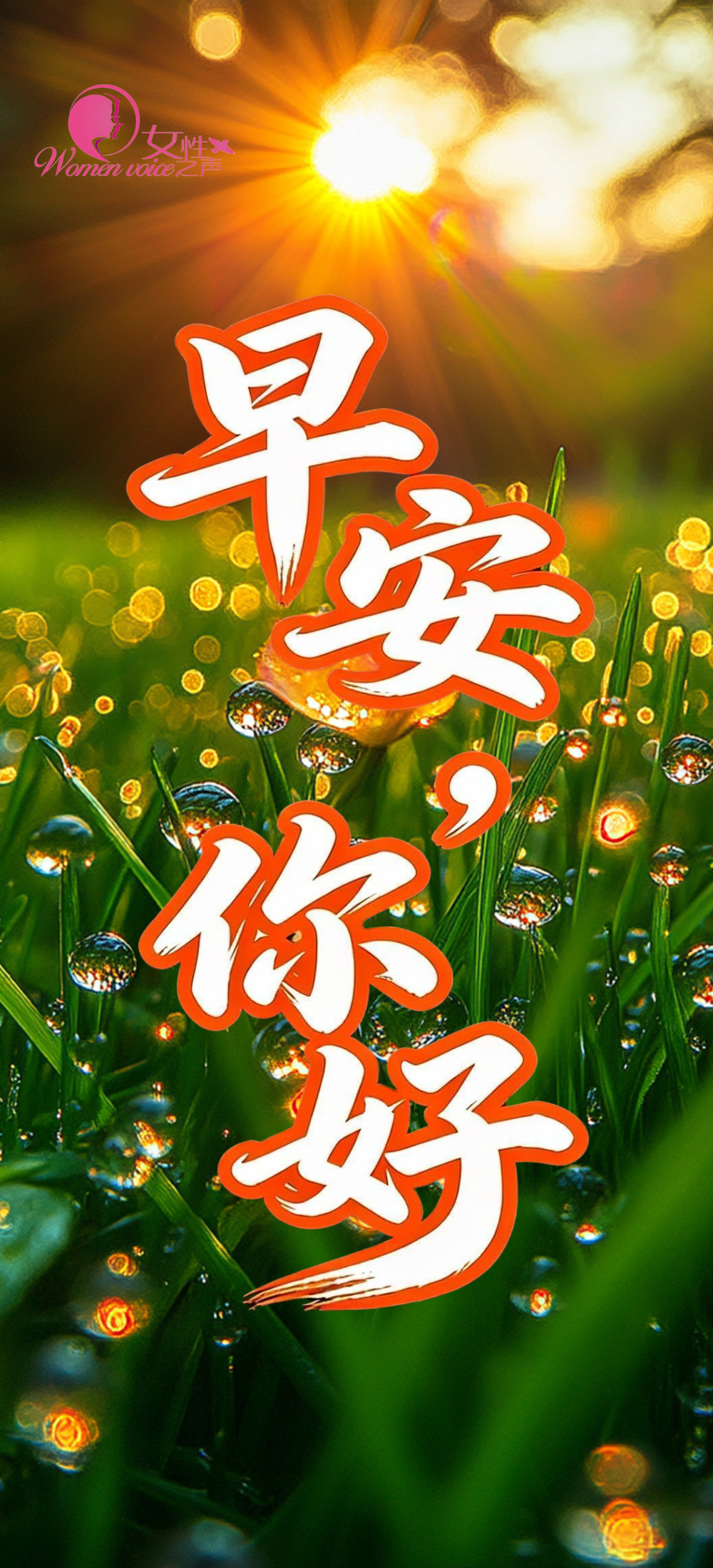 2026年“最美家庭” | 山西申芸家庭：三代人同做公益，四十年以爱传家