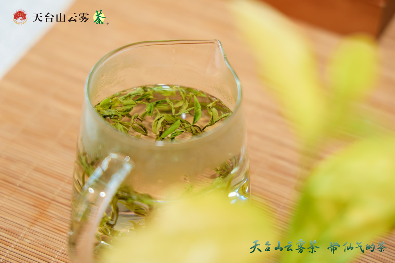 天台山云雾茶 图源主办方