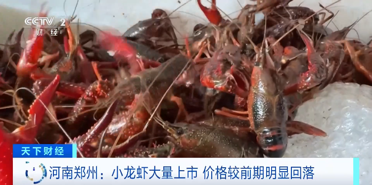 be1b-1deb801fcdb77cc5b715f8e94ac61e17.png