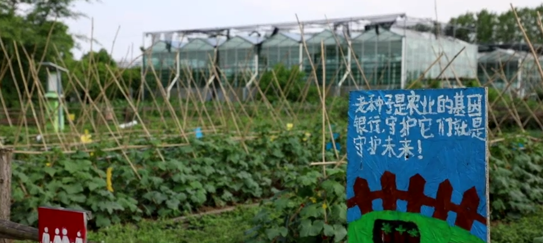 留住TA，合肥人的童年味道又回来了
