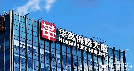 华贵保险副董事长杨丽代行董事长职责 总经理罗振华已经61岁了