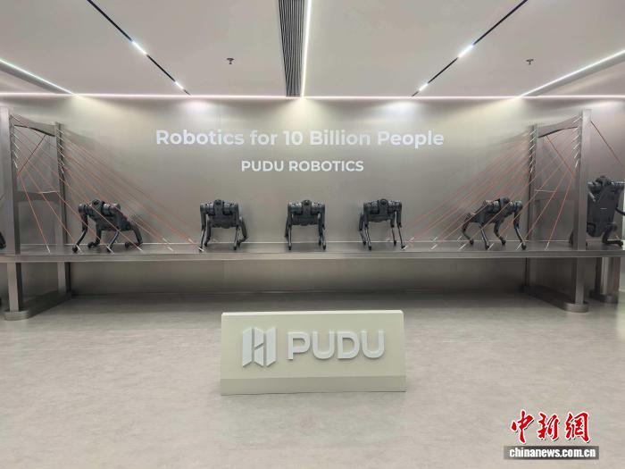 深圳市普渡科技股份有限公司展出的「機器狗」。許青青 攝