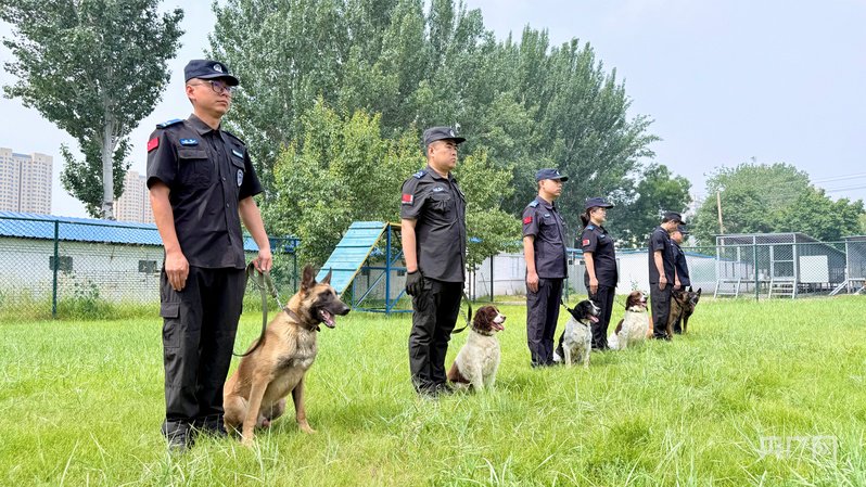 国际禁毒日｜探访训练基地 看缉毒犬是怎样练成的