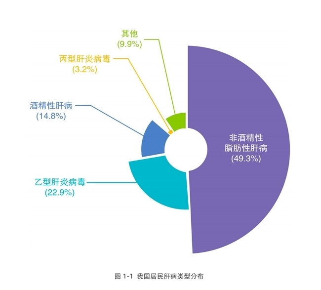 怎么才能减脂提高代谢 1287-80bb2e88fa7dfcd730d1f678a3a61e5a.jpg