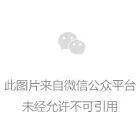 折叠屏的二次进化：AI技术浪潮下，vivo如何回应“人”的时代命题