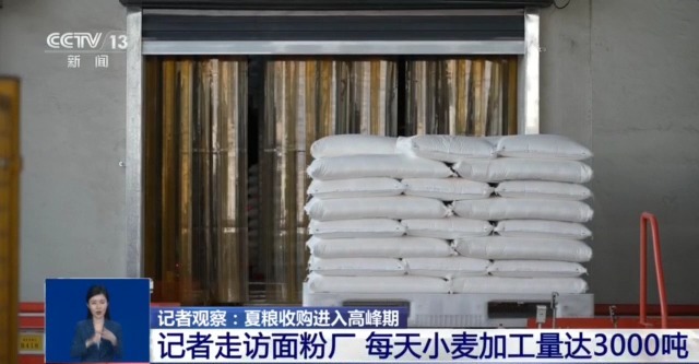 夏粮收购进入高峰期，市场有哪些新变化？