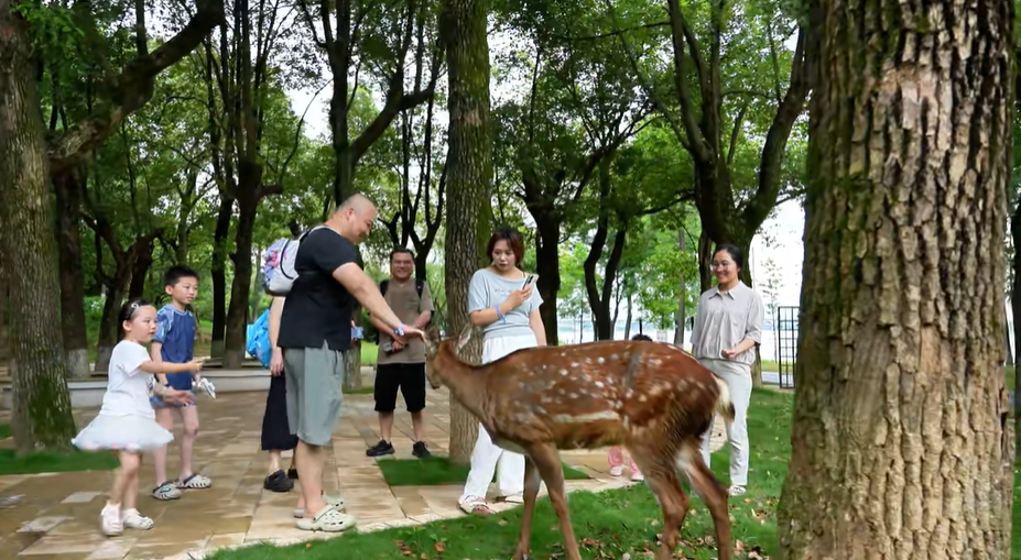 左右滑动查看更多图片