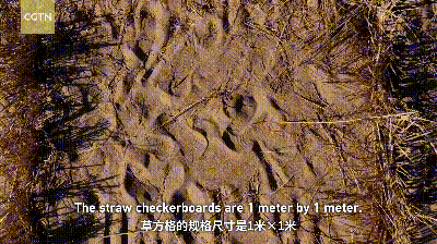 166b-gif341ed638e7012b59b4bf3e9e3ba66433.gif