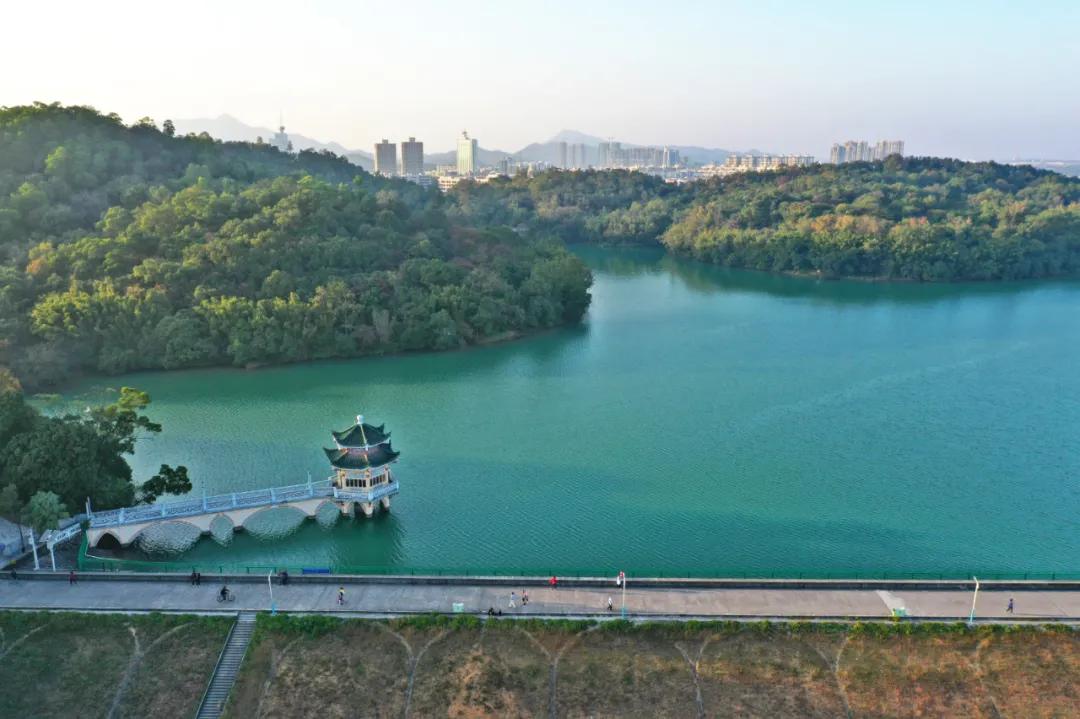 陈健科 摄