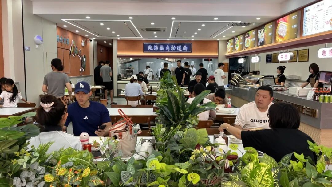 一碗面背后的山海情