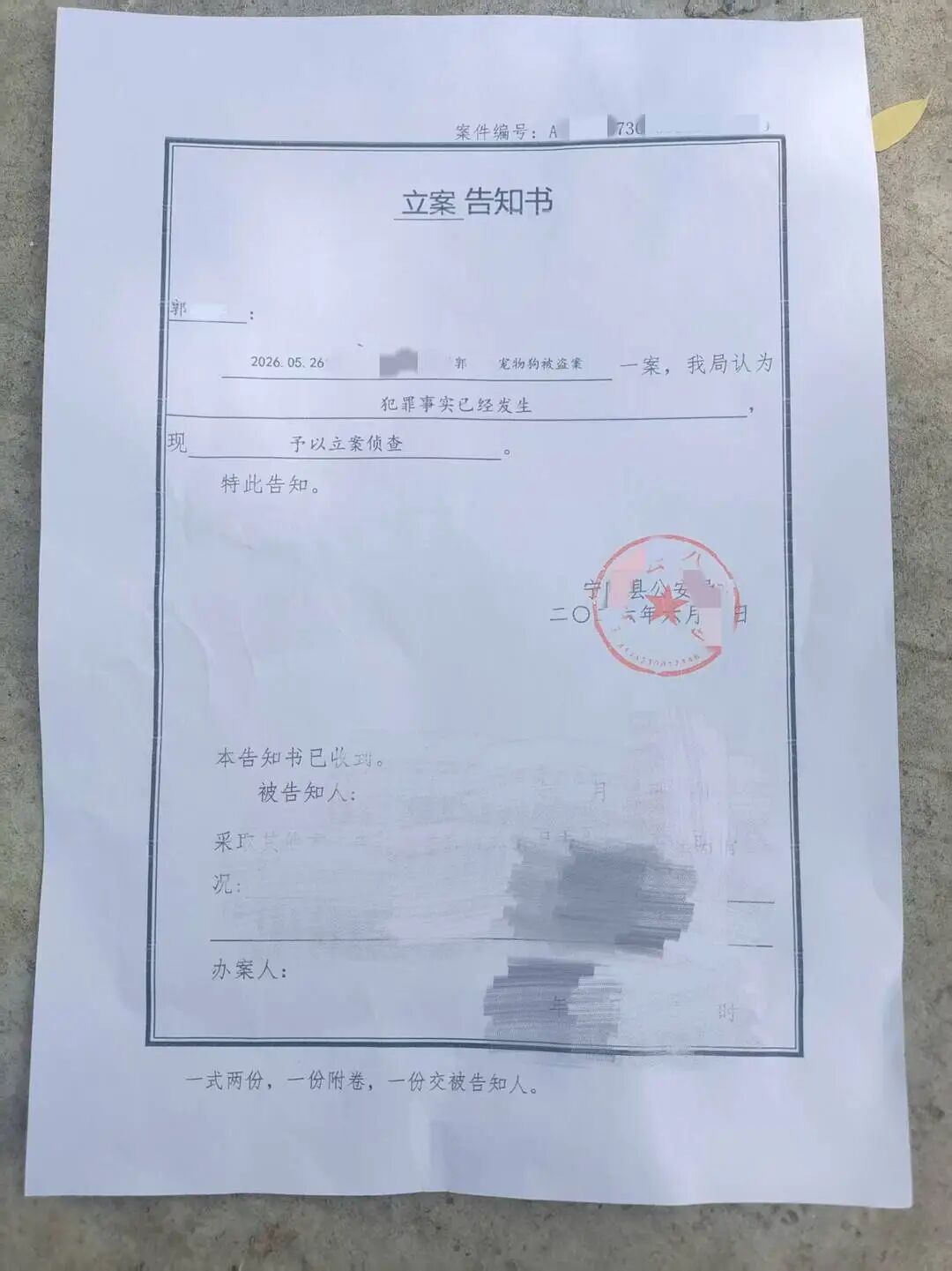 刑事立案告知书