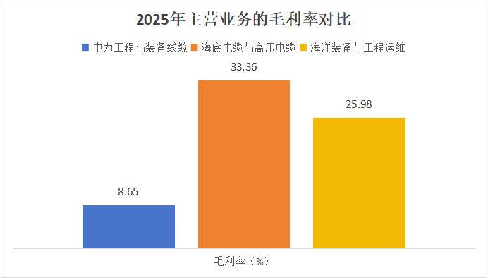 ������Դ��2025�깫˾�걨