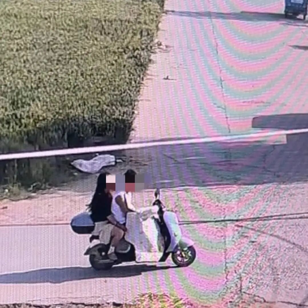 监控拍下一男一女从田间偷走“锄头”的画面