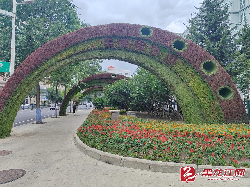 哈尔滨完成夏季彩化面积28.29公顷