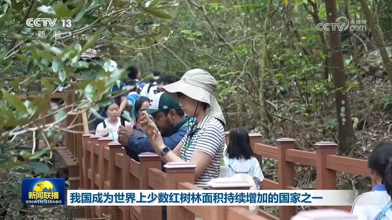 我国成为世界上少数红树林面积持续增加的国家之一 我国成为世界上少数红树林面积持续增加的国家之一