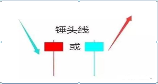 a9a5-da55bc00ab15110d3eebaf1d2ba9ee0a.png