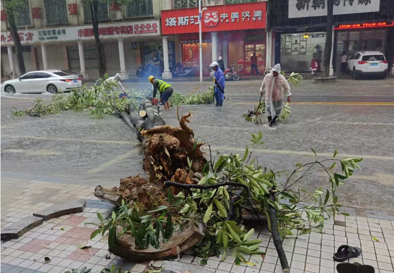 闻“汛”而动 抢险排险保平安 丰顺全力应对台风“红霞”强降雨天气