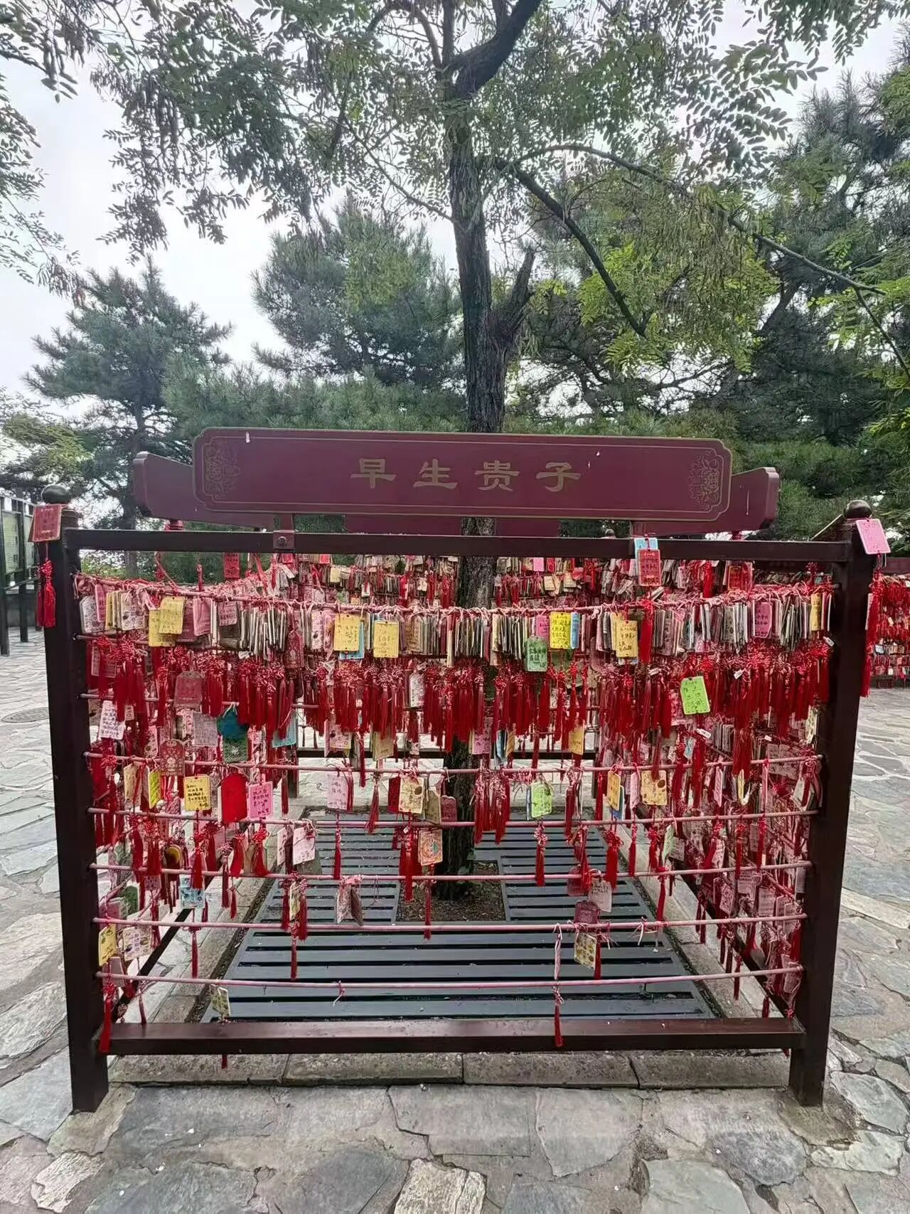 这两张图能说明一些问题