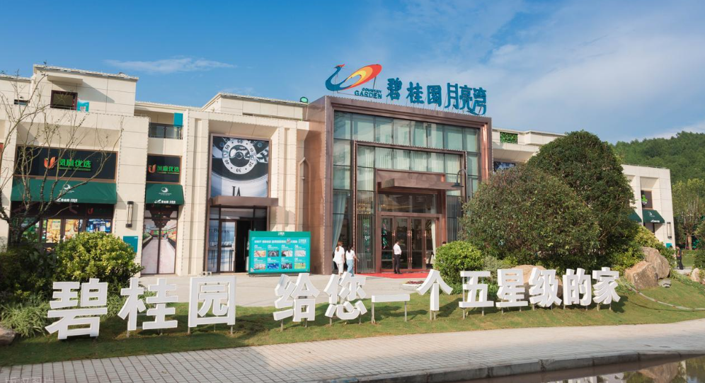 碧桂园错失长鑫背后：资产决定你能赚多少，负债决定能不能等到那一天