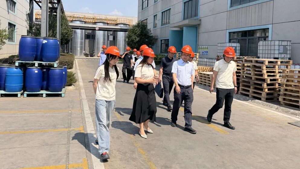 四川证监局二级巡视员王勇同志一行赴公司调研走访